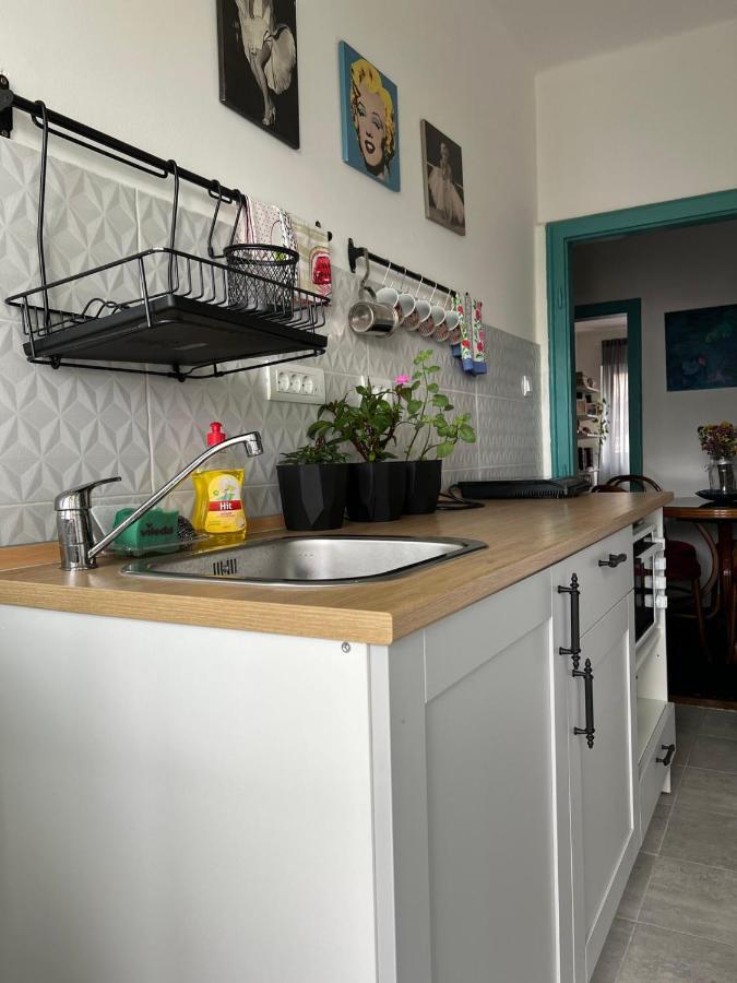 Apartment Queen Of The Arts Belgrade