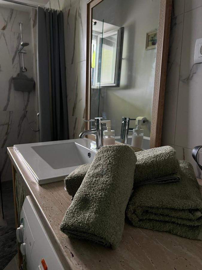 Queen Of The Arts Apartman Belgrade